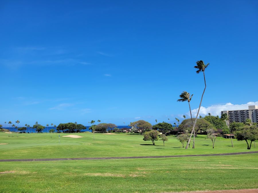 Golfing Paradise: Tee off at the renowned Kaanapali Golf Courses