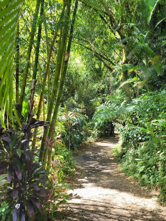 Discover the Natural Paradise of Garden of Eden in Maui: A Hidden Gem for Nature Lovers