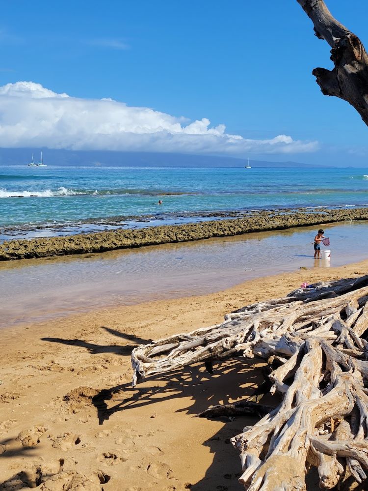 Unforgettable Adventures Await: Explore the Best Kaanapali Attractions in Maui