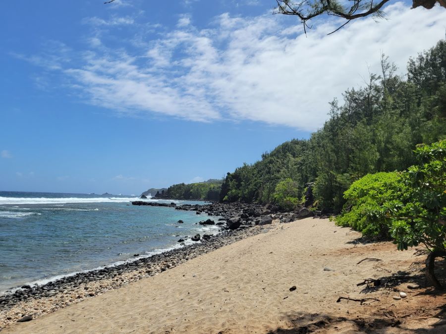 beach day at Kapalua