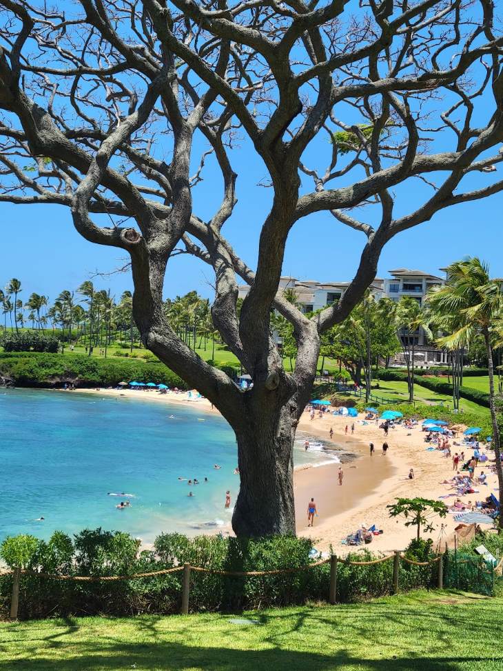 Here are the top things to do in Kapalua