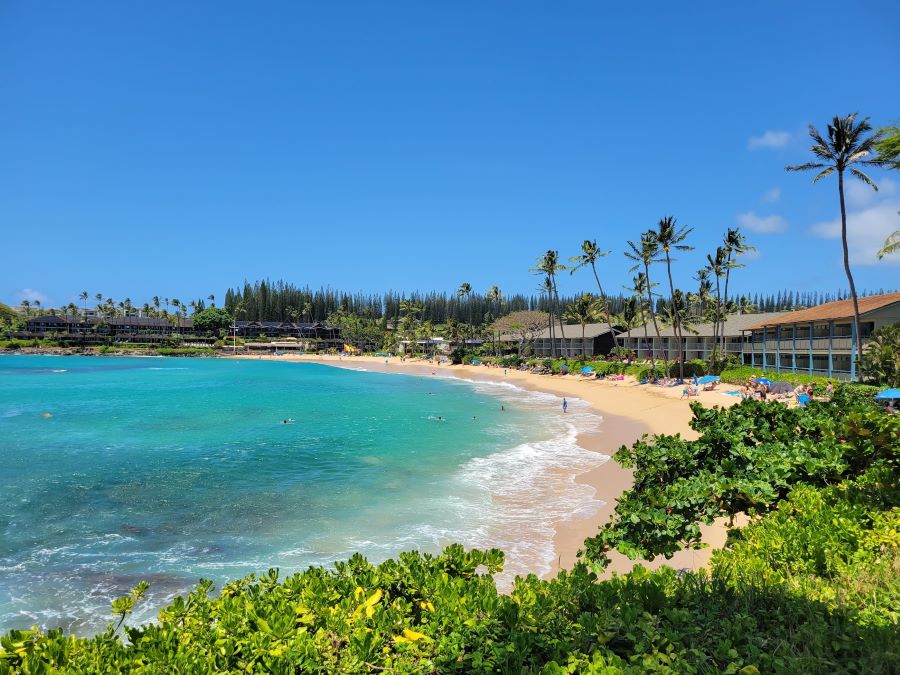 Visit Napili Bay and snorkeling