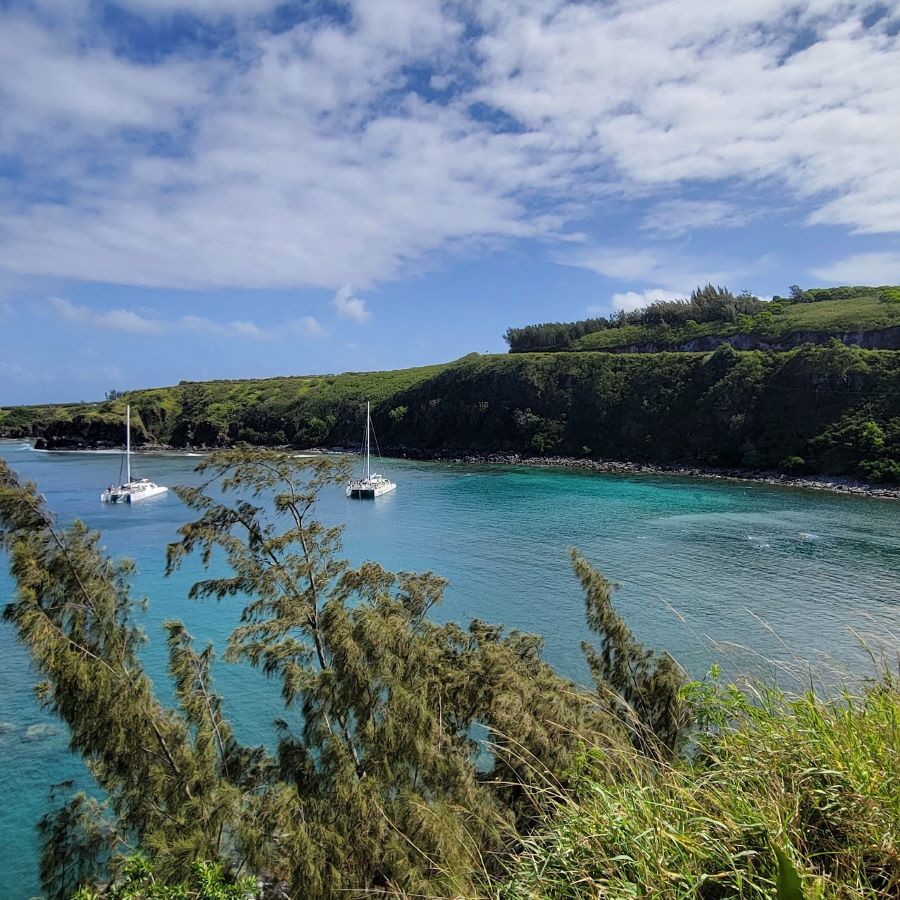 Enjoy a luxury sail experience to Honolua Bay