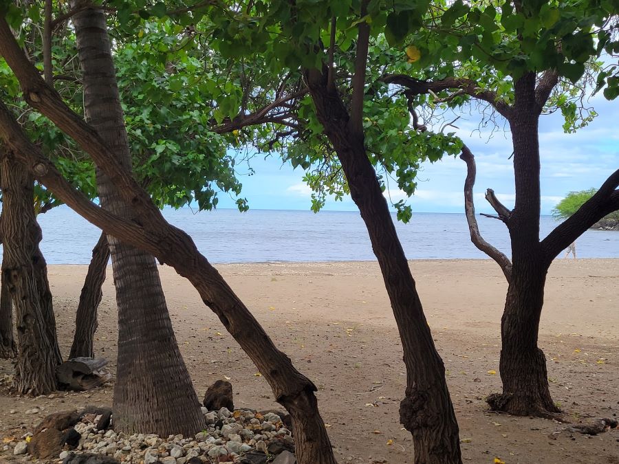 Conclusion to visiting Pu'ukohola Heiau National Historic Site