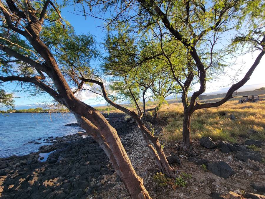 Views and Scenic Beauty: Pu'ukohola Heiau 