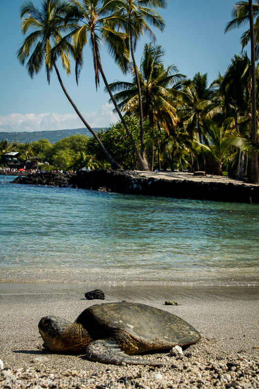 Where is Pu'uhonua o Honaunau National Historical Park located?