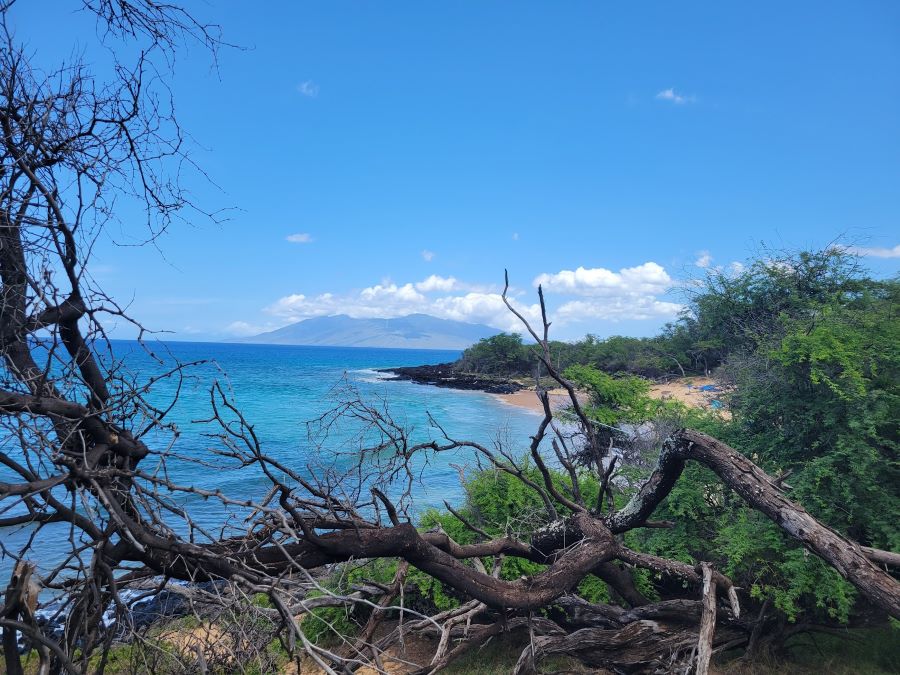 How to get to Wailea, Maui