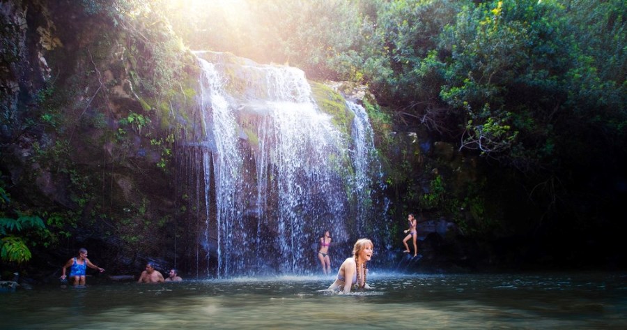 Kohala Waterfalls Adventure