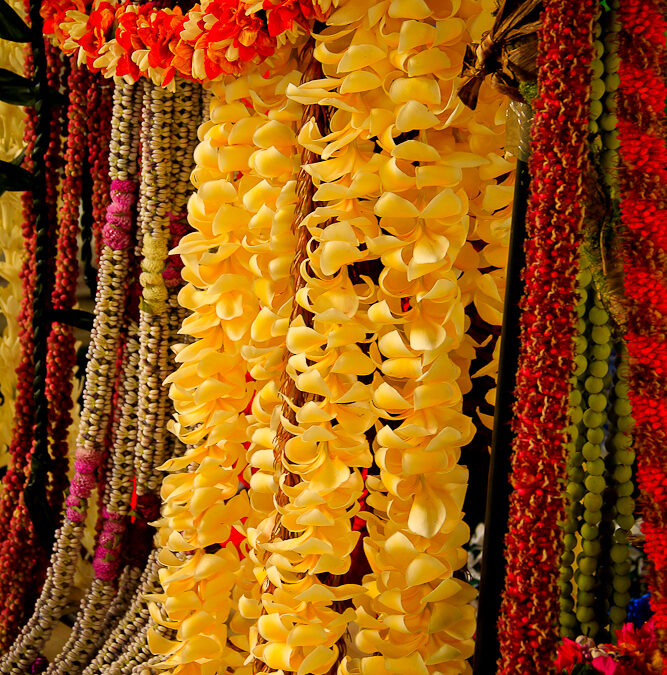How to make a lei
