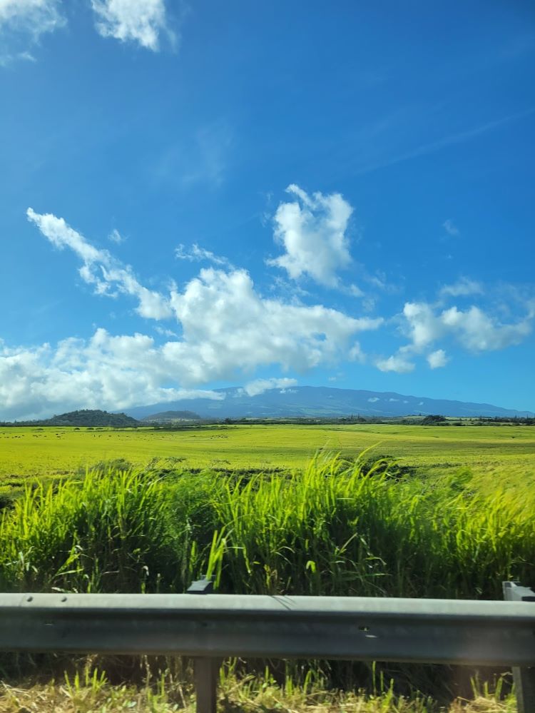 Where is Upcountry Maui located?