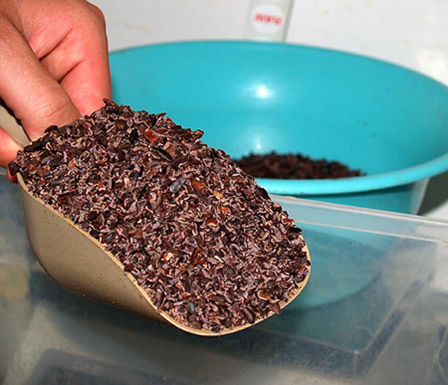 measuring and weighing cacao nibs in Hawaii Island