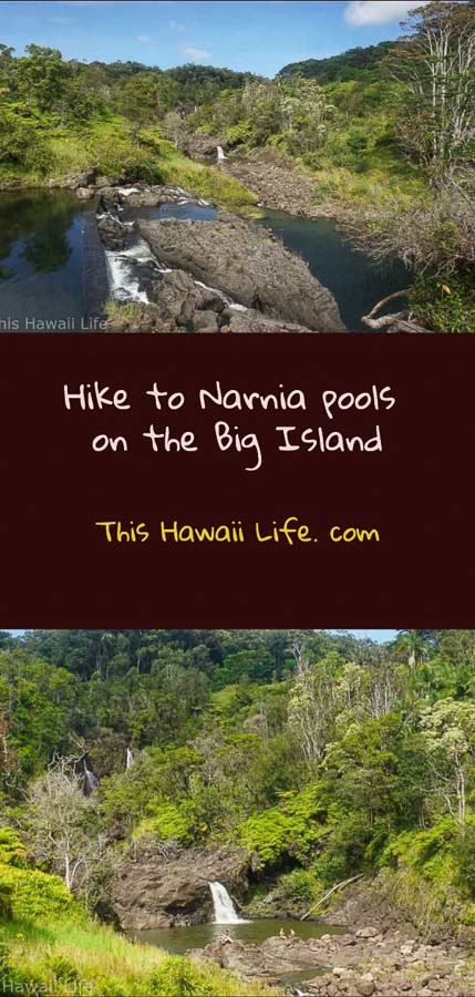 Pinterest Hike-to-Narnia-waterfalls-on-the-Big-Island