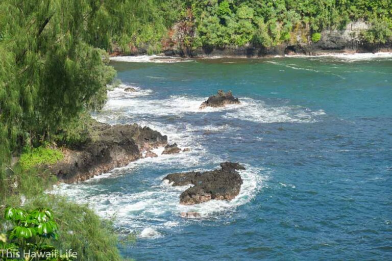 Top things to do in Hilo now - This Hawaii Life