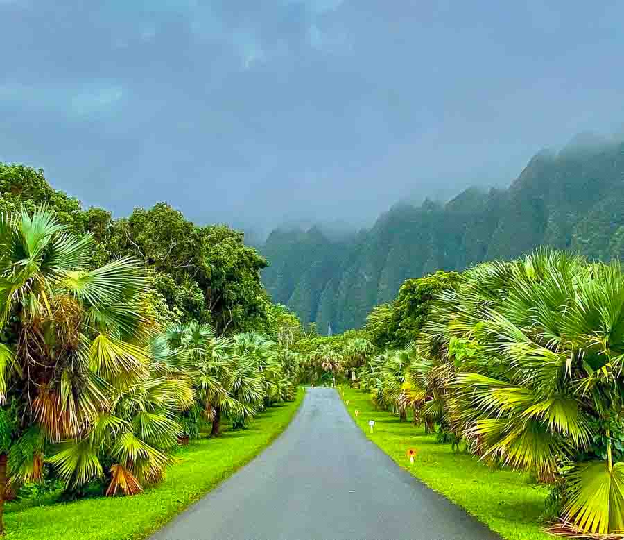 hoomaluhia botanical garden tour