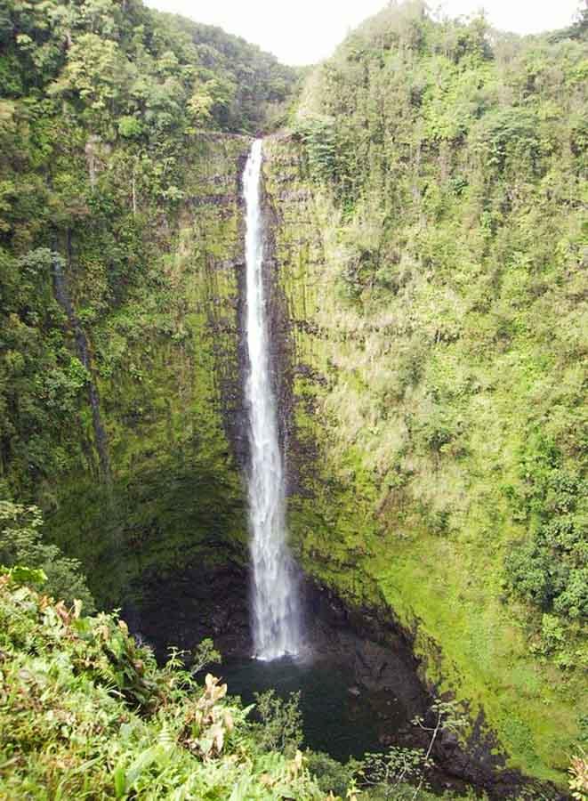 Visit beautiful Akaka Falls in the Hamakua coast of the Big Island