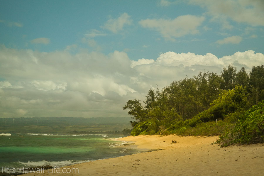Explore these North Shore Beaches in Oahu