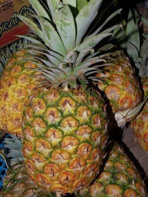 It’s pineapple season in Hawaii