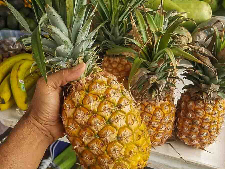 Ripe pineapples