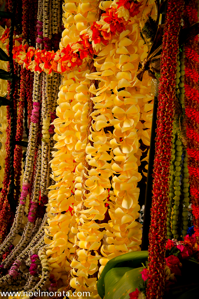 Hawaiian Lei Flower This Hawaii Life