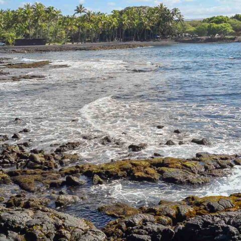 Punalu'u Black Sand Beach - This Hawaii Life