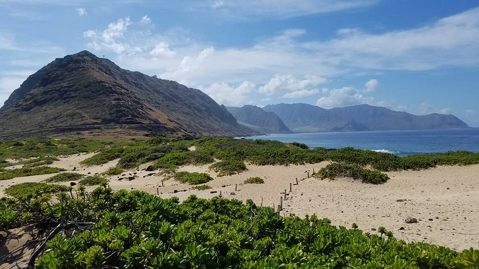 Best hikes in Oahu