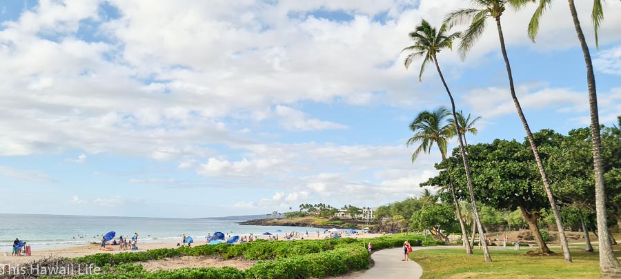 Why visit the Big Island on a family vacation?
