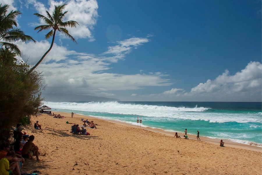 Ehukai beach is calmer during the summer and safe to swim and snorkel in