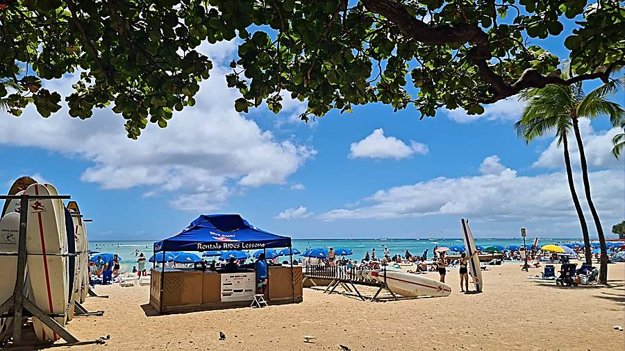 Explore Waikiki Beach (stroll, swim, adventure activities and entertainment on the beach)