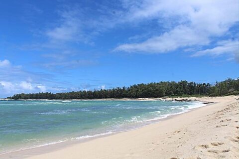 Laniakea Beach – Turtle Beach - This Hawaii Life