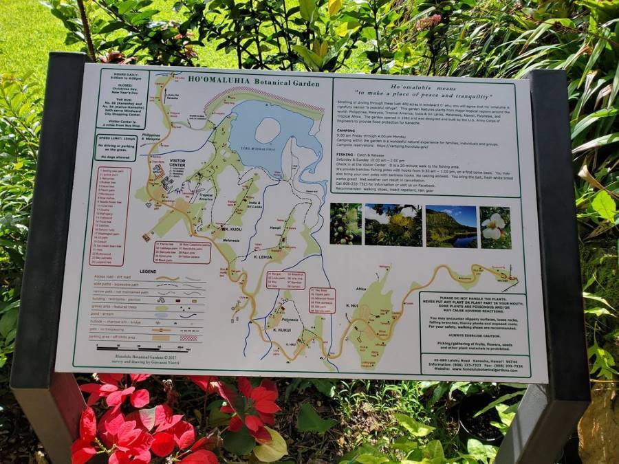 Details to visiting Ho’omaluhia Botanical Garden