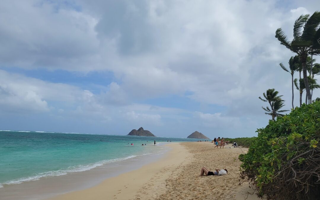 Oahu circle island tour