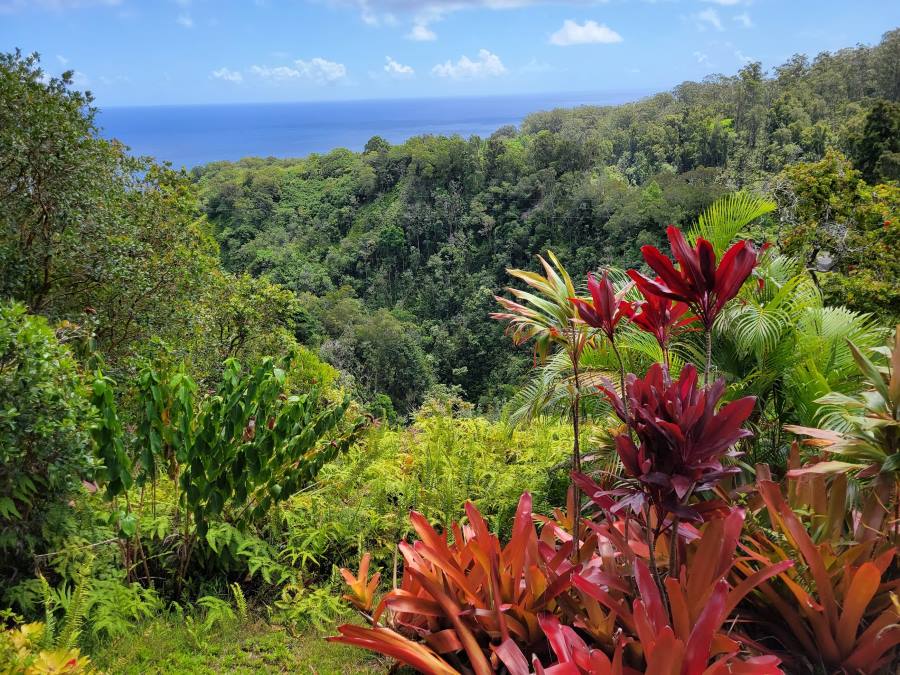 Garden of Eden Maui