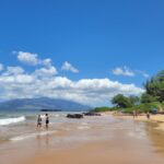 45 things to do in Maui