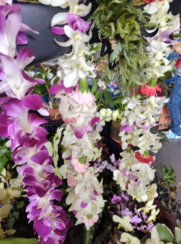 What orchids are typically used for lei in Hawaii