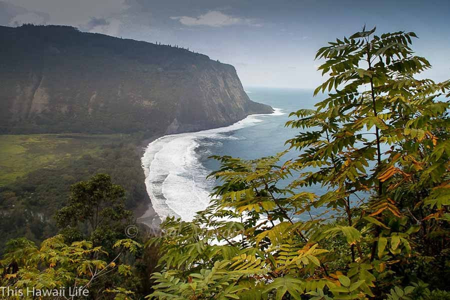 Waipio lookout