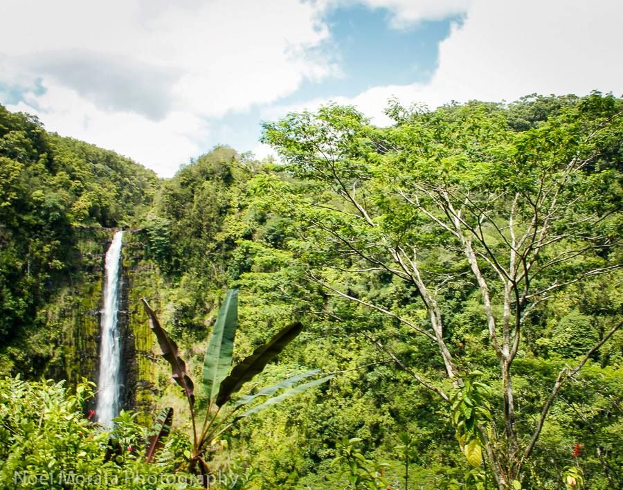 Akaka Falls State Park