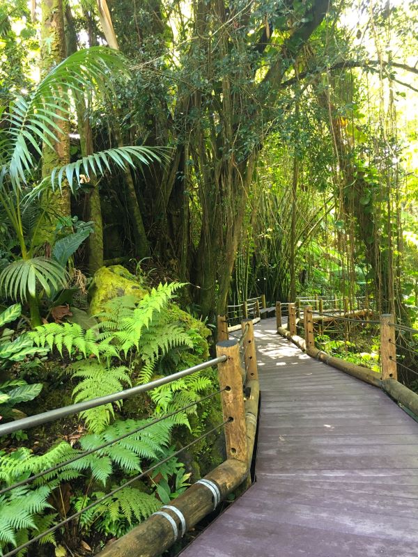 Hawaiian Tropical Botanical Garden