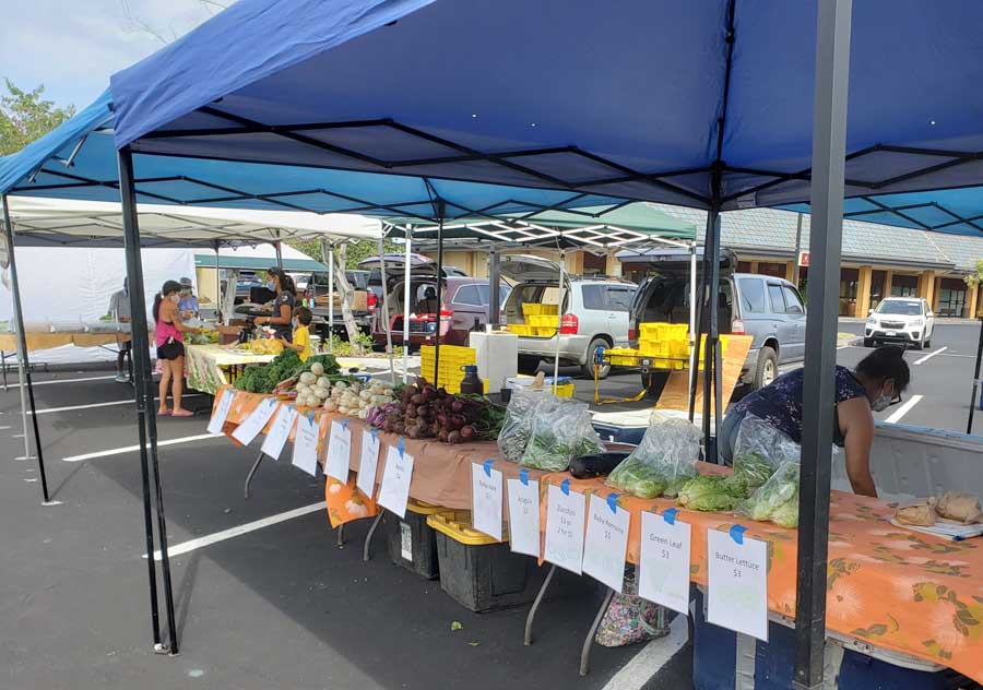 Kona farmers markets
