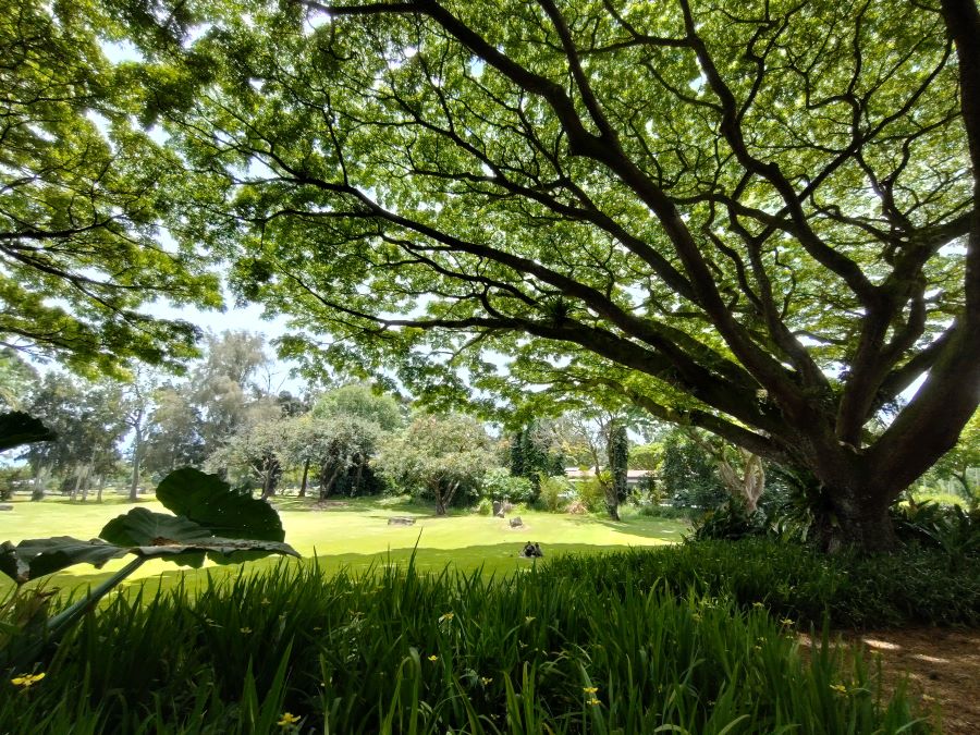 Liliu 'Okalani Gardens