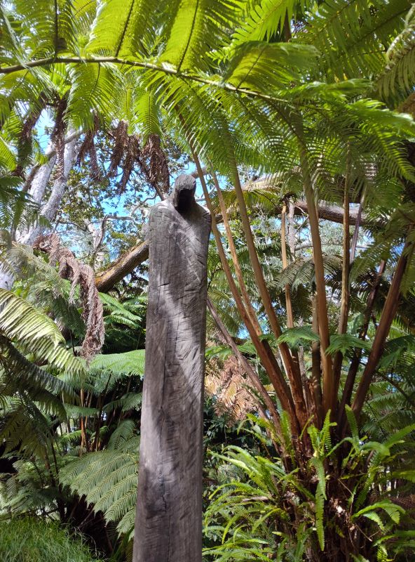  The best gardens of the Big Island at Volcano arts center sculpture garden