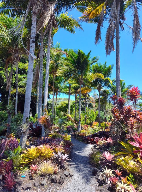 University of Hawaii Botanical Gardens