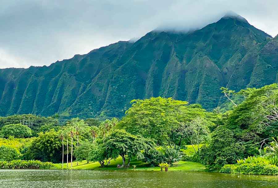 Hoomalu botanical gardens
