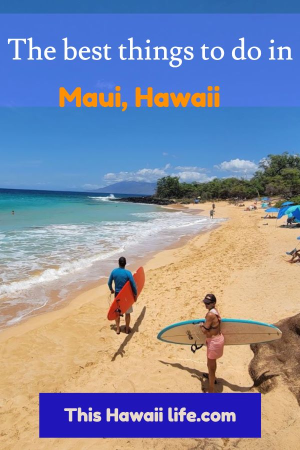 top things to do in Maui pin 1