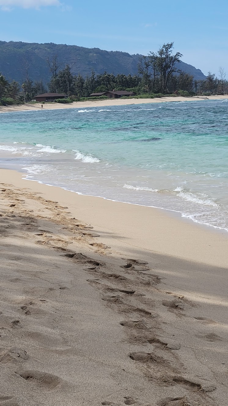 Cheapest time to go to Hawaii This Hawaii Life