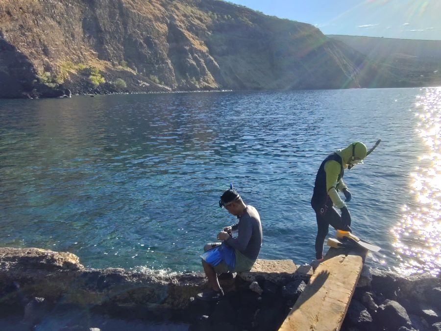 Snorkeling in Kealakekua Bay