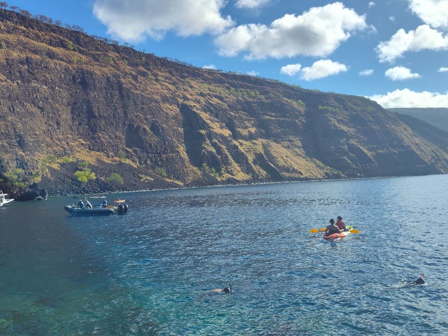 Kayak to Kealakekua bay 