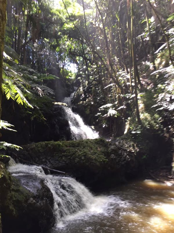 Onomea Falls, Big island