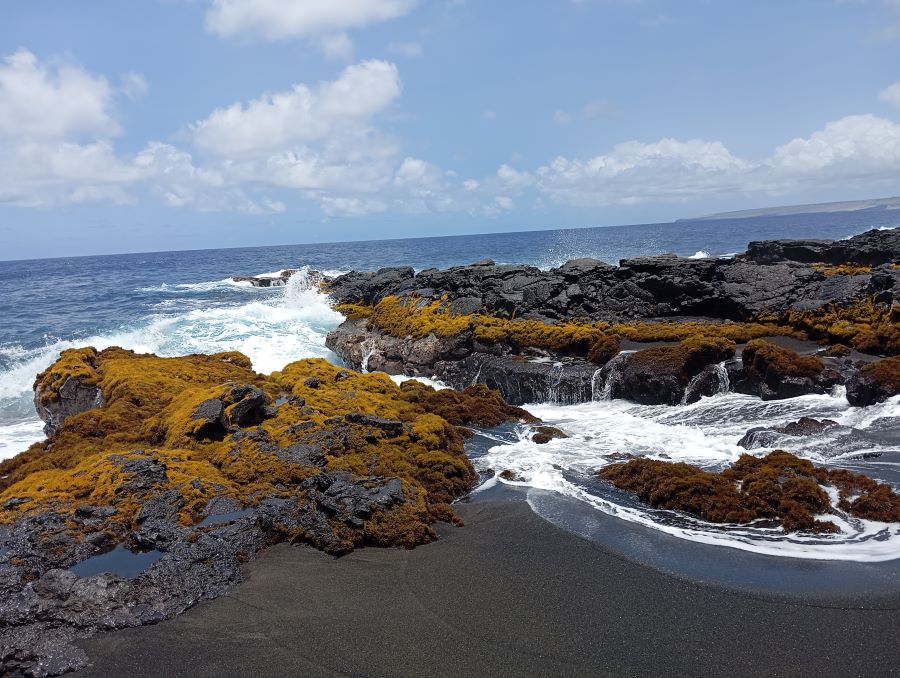 Small inslets Punaluu coastline