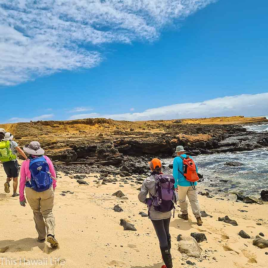 Green Sand Beach FAQ