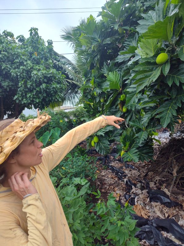 Further reading on Culture and traditions in Hawaii